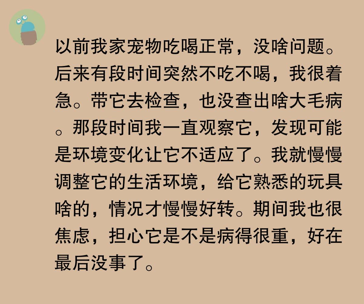 猫咪突然不吃不喝？危险信号解读