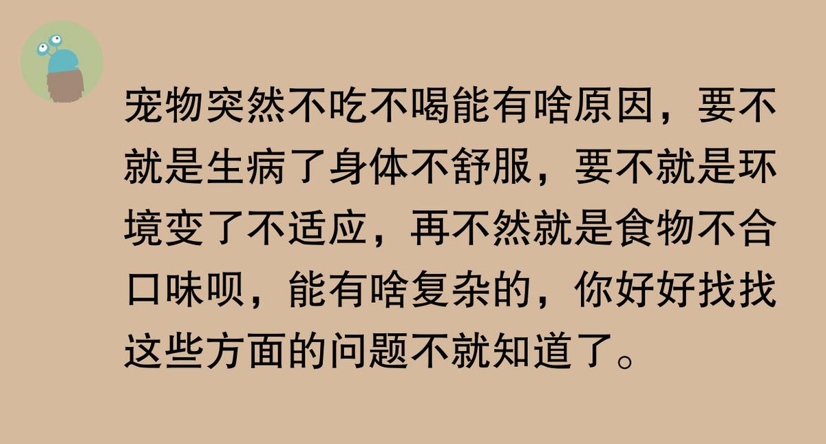 猫咪突然不吃不喝？危险信号解读