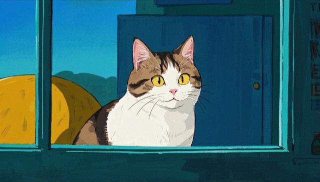 猫咪为什么爱看窗外