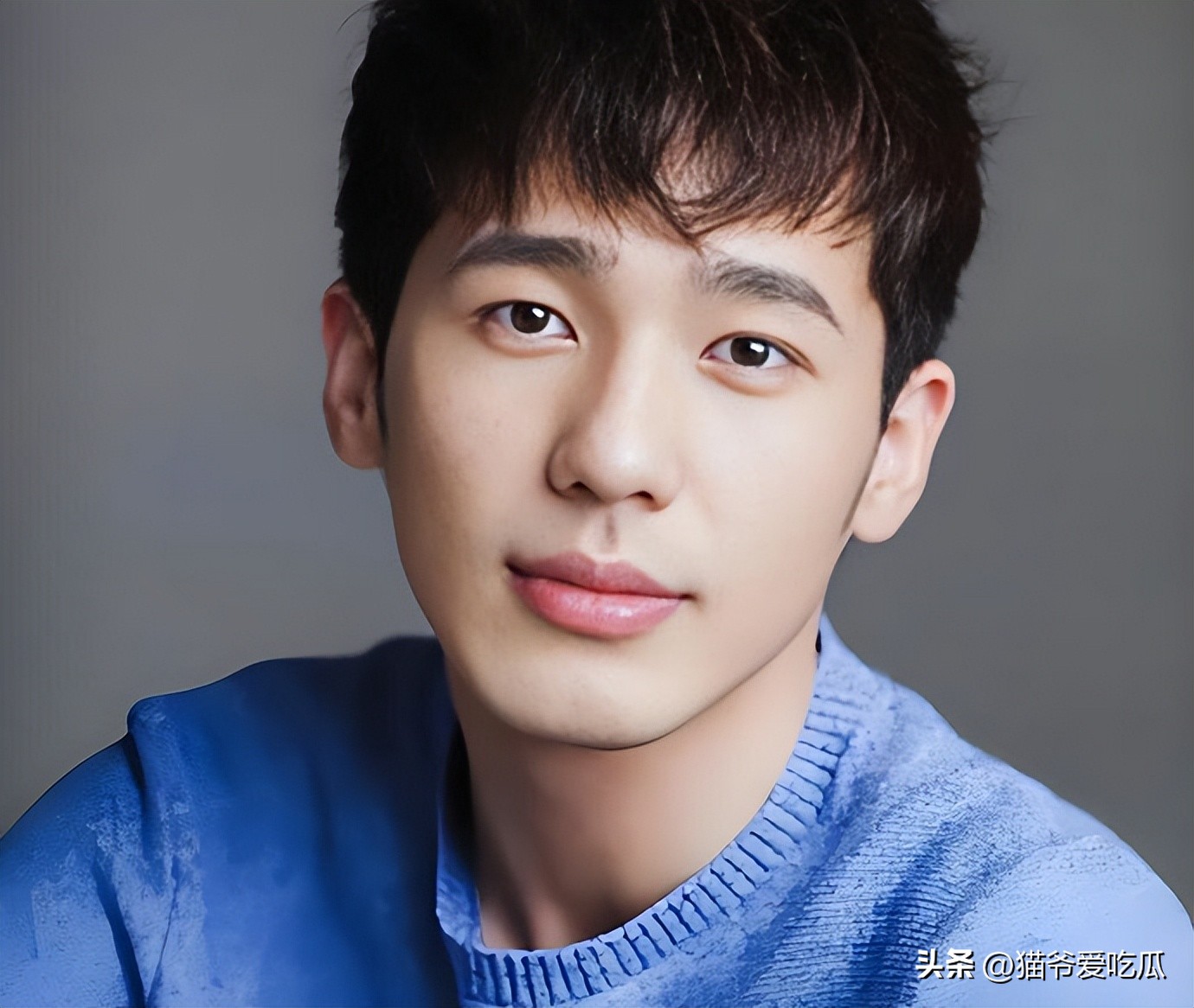 猫咪气胸的急救处理