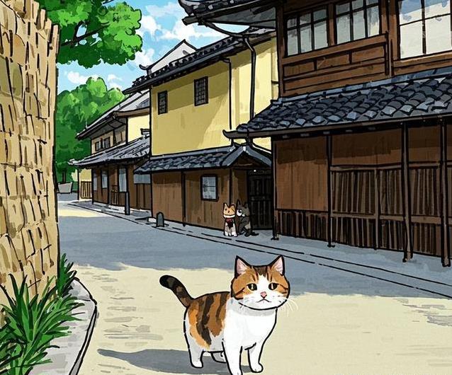 如何让猫咪不害怕出门