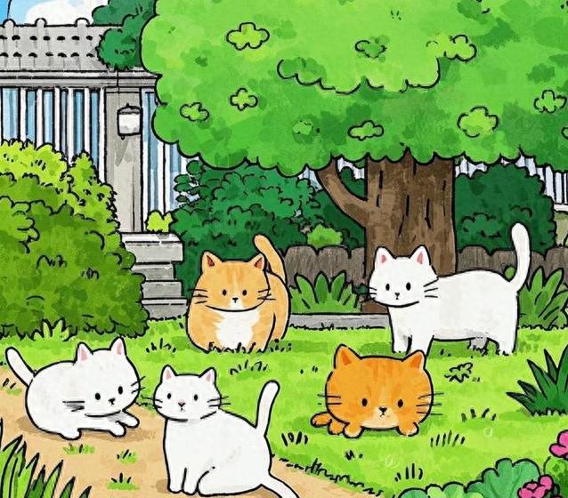 如何让猫咪不害怕出门